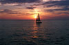 Schiff